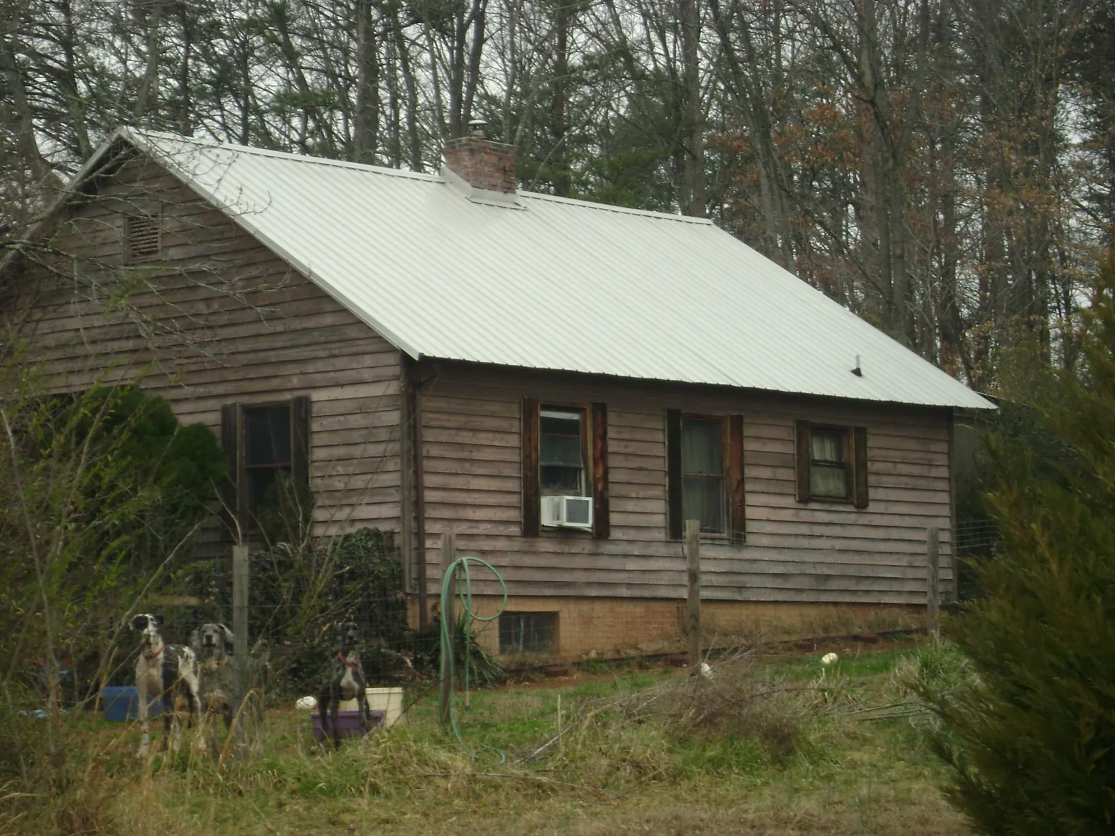 White metal roof on an old wood sided farmhouse, from a Asphalt Shingle Roof Repair job in New Era
